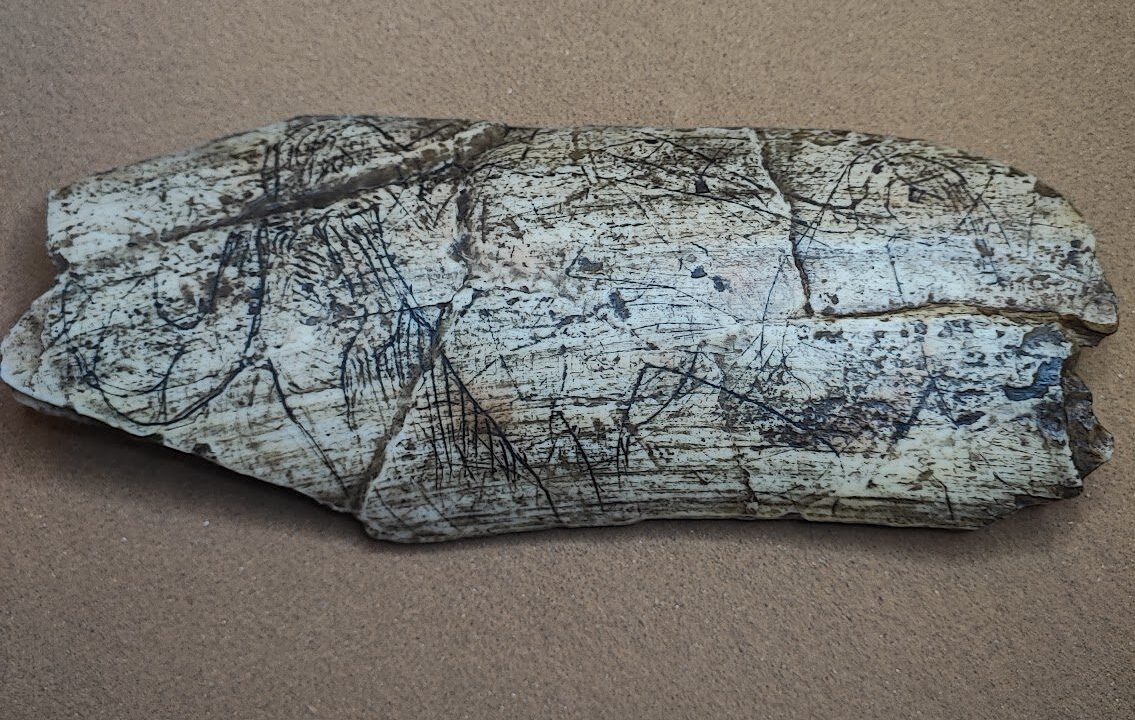 Moulage : Plaquette gravée d’un mammouth, Abri de la Madeleine, Magdalénien