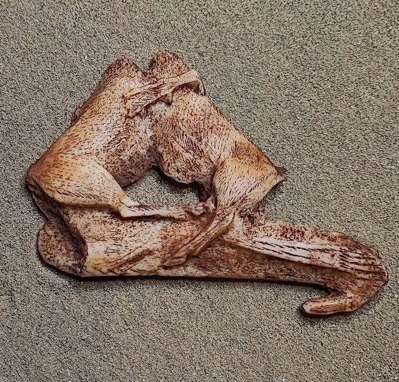Moulage : Propulseur « Bouquetins affrontés », Grotte d’Enlène, Magdalénien