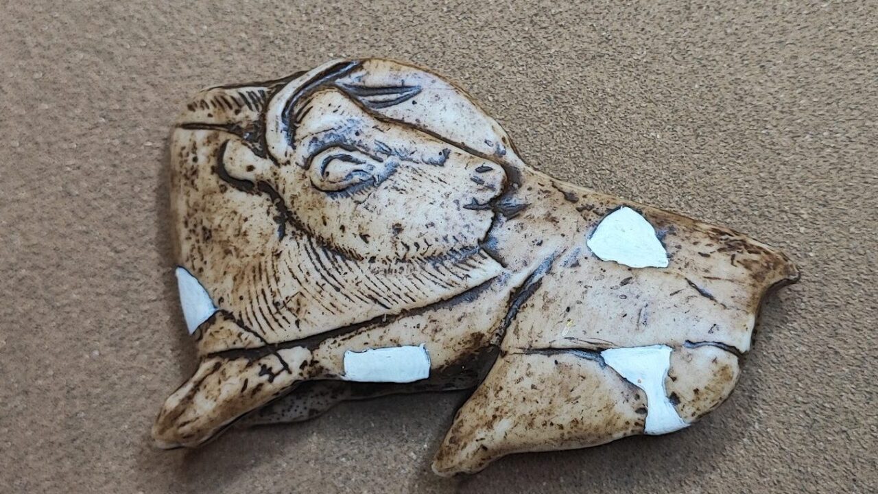 Moulage : Propulseur « Bison se léchant », Abri de La Madeleine, Magdalénien