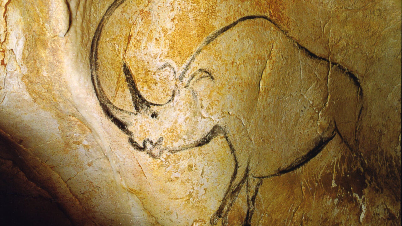 Rhinocéros laineux dessiné au charbon dans la grotte Chauvet (Ardèche), il y a environ 36 000 ans. L’animal que les Aurignaciens connaissaient descend d’une lignée diversifiée en Eurasie tempérée quatre cent mille ans plus tôt.