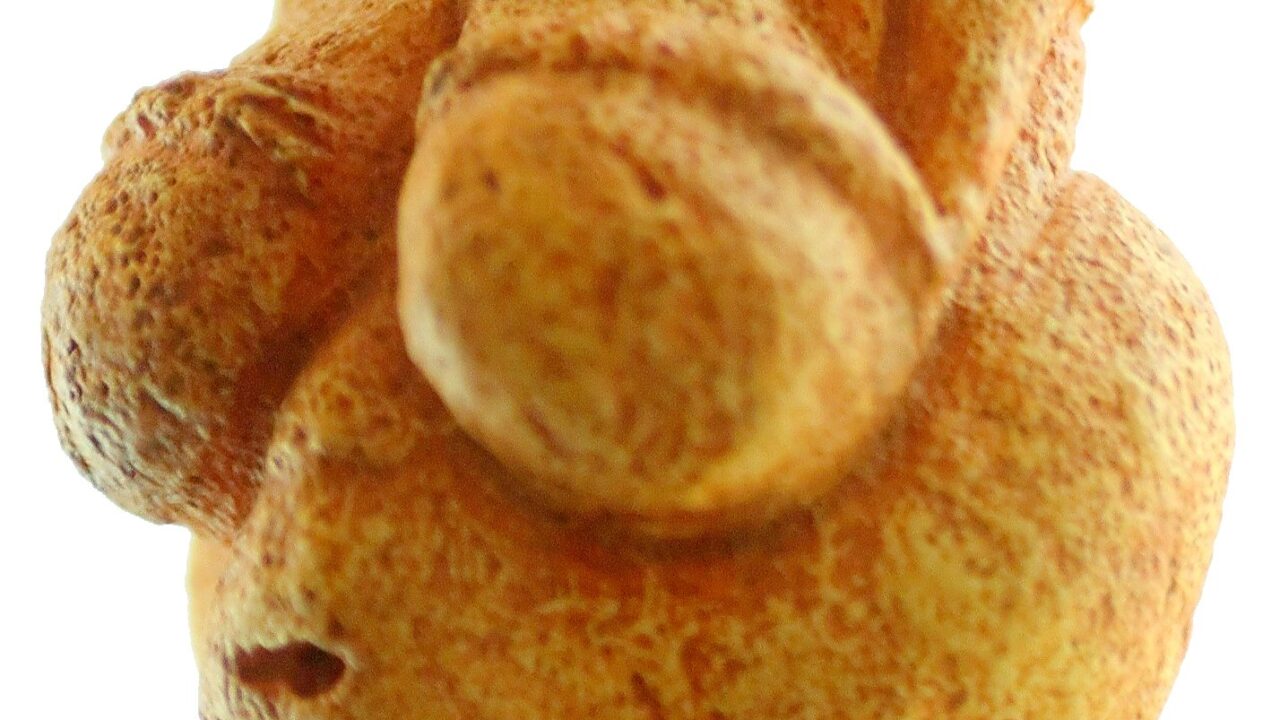 La Vénus de Willendorf, calcaire gravettien découvert en Autriche, vers 25 000 ans. Illustration du sujet de la table ronde, et non de l’événement.