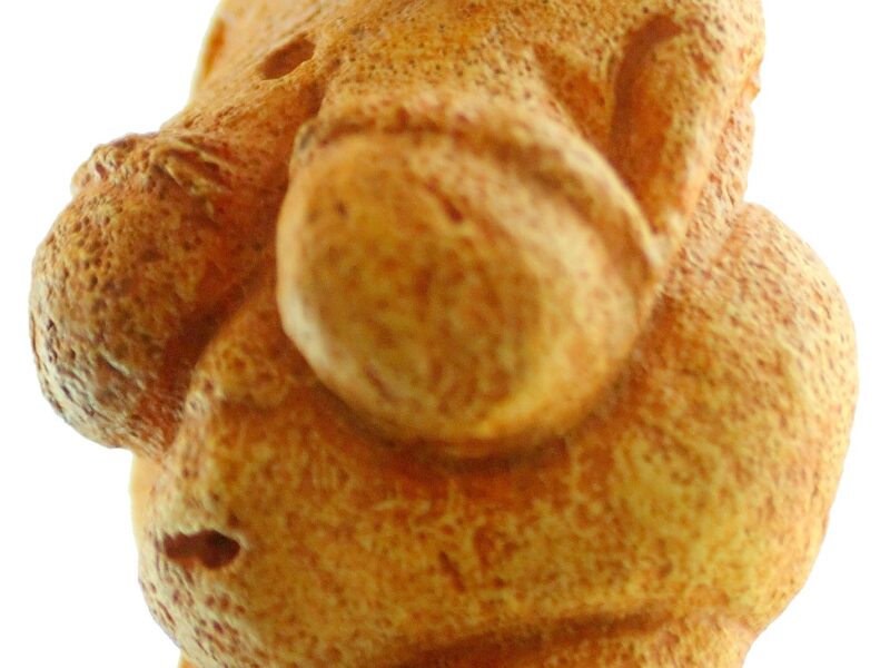 La Vénus de Willendorf, calcaire gravettien découvert en Autriche, vers 25 000 ans. Illustration du sujet de la table ronde, et non de l’événement.