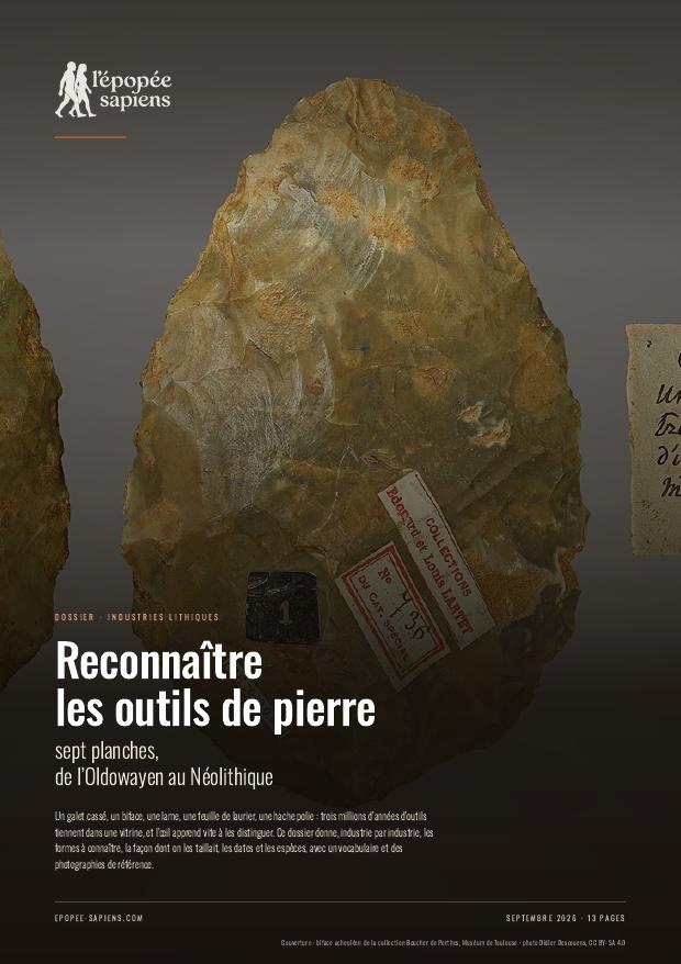 Couverture, Reconnaître les outils de pierre, sept planches de l’Oldowayen au Néolithique