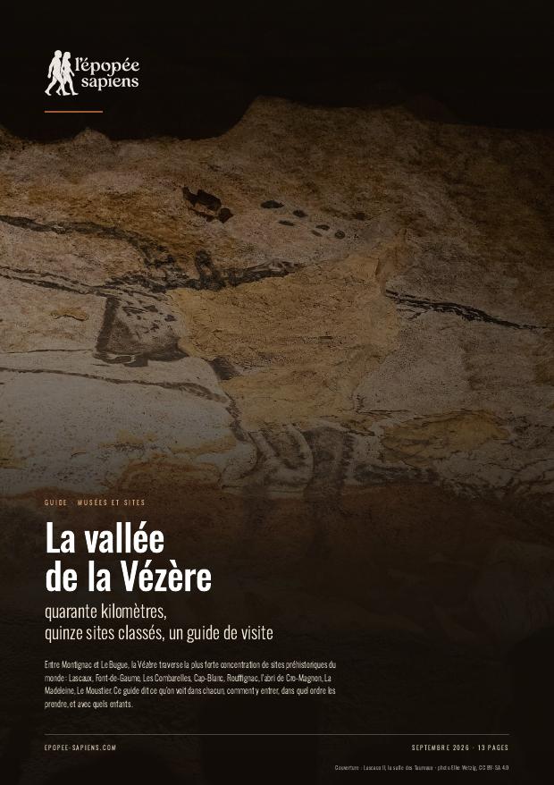 Couverture, La vallée de la Vézère, guide de visite des sites préhistoriques