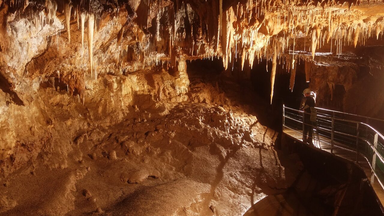 La grotte de Foissac, concrétions et passerelle de visite