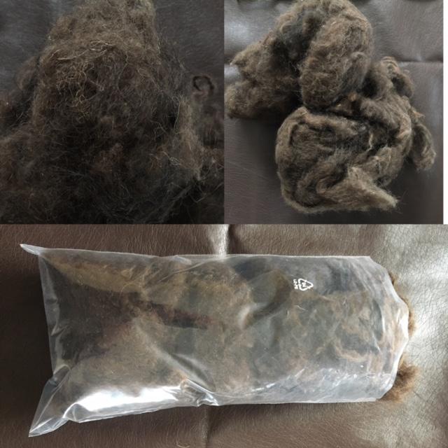 Laine de bison cardée 60 g