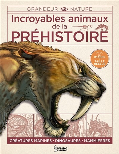 Couverture du livre « Incroyables animaux de la préhistoire. Créatures marines, dinosaures, mammifères »