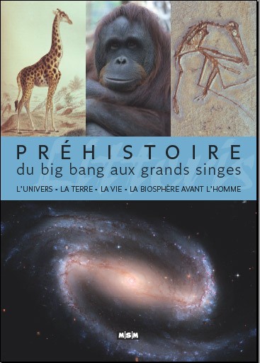 Couverture du livre « Préhistoire. Du big bang aux grands singes. L’Univers, la Terre, la vie, la biosphère avant l’homme »