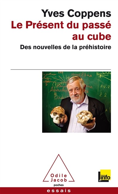 Couverture du livre « Le présent du passé au cube. Des nouvelles de la préhistoire »