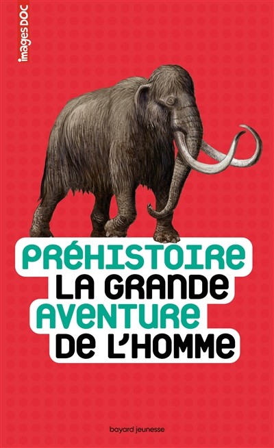 Couverture du livre « Préhistoire. La grande aventure de l’homme »