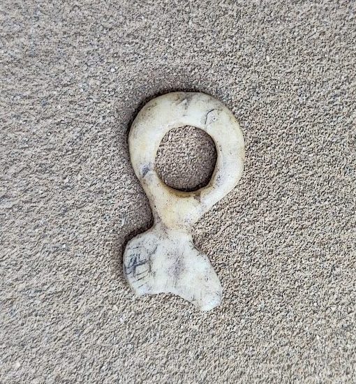 Reproduction : Pendeloque d’Arcy sur Cure