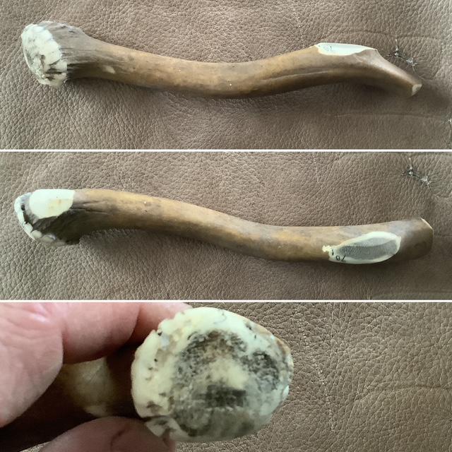 Percuteur en bois de cerf 90 g (26-9)