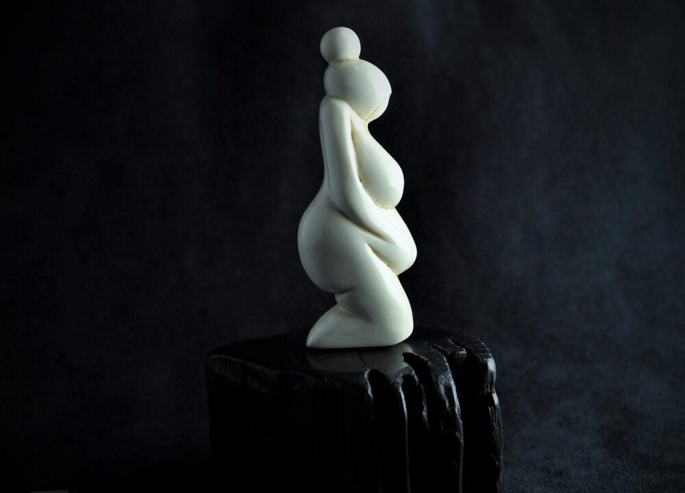 Vénus à la Terre