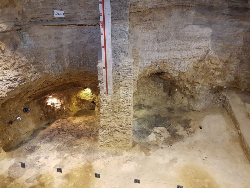 Coupe de fouille dans un abri sous roche, avec une échelle graduée de lettres posée contre une colonne de sédiments et des repères numérotés au sol.