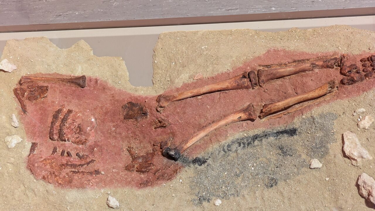 Reconstitution d’un squelette d’enfant teinté d’ocre rouge, avec une traînée de charbon sous les jambes