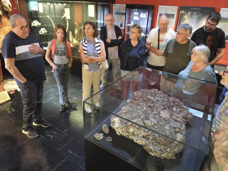 Société des amis du musée national de Préhistoire et de la recherche archéologique (SAMRA)