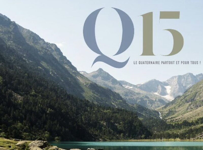Q15
