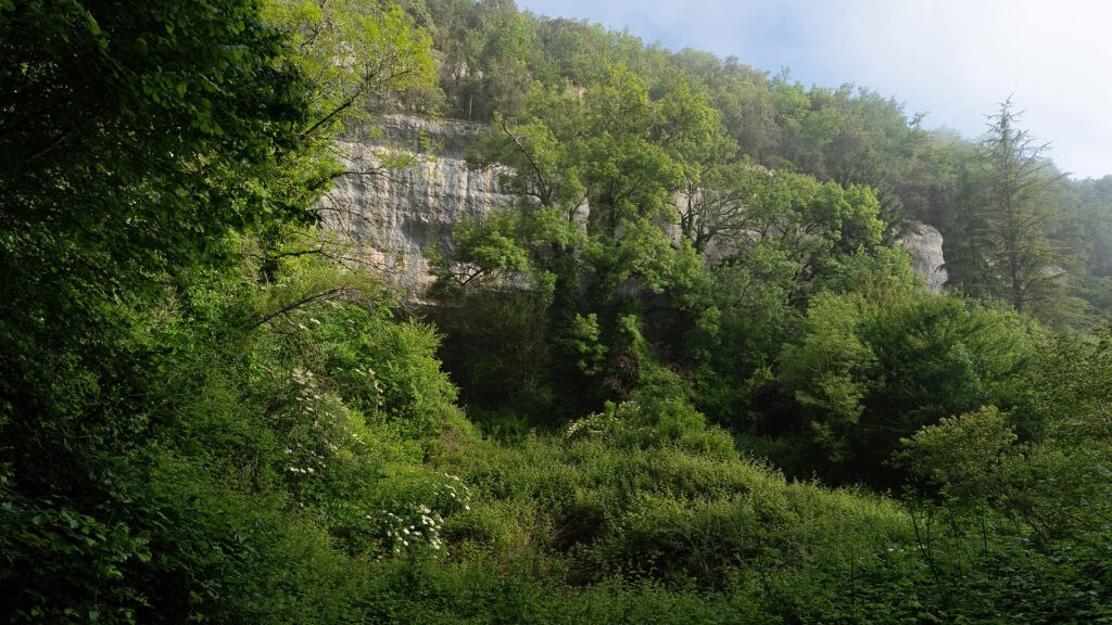 Le vallon de Gorge d’Enfer et ses abris : Grand Abri, abri Lartet et abri du Poisson