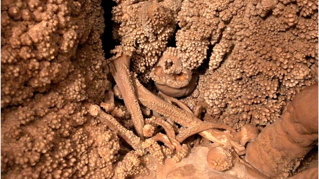 Le squelette de l’Homme d’Altamura pris dans les concrétions de calcite, grotte de Lamalunga