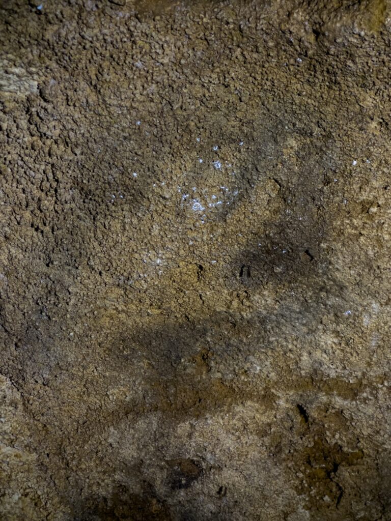 Main négative sur la paroi sud de la première salle