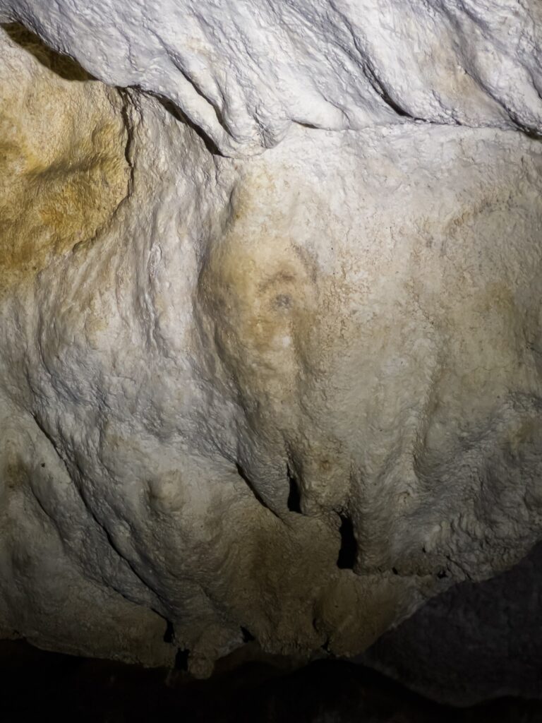 Figure interprétée comme un visage humain, première salle