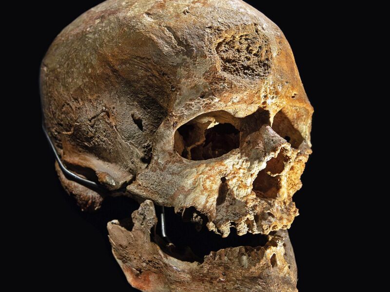 L’abri de Cro-Magnon