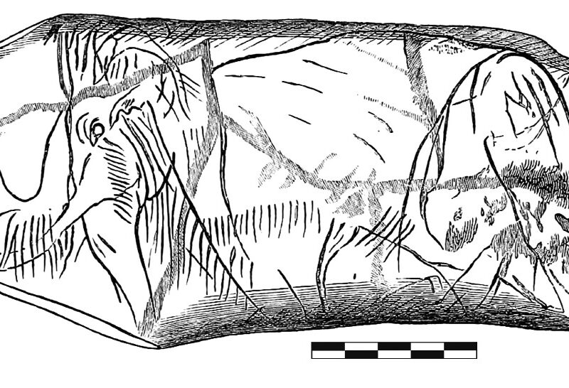 Le mammouth gravé de l’abri de la Madeleine