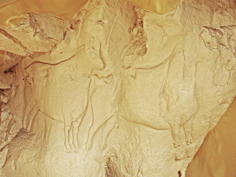 La frise sculptée du Roc-aux-Sorciers