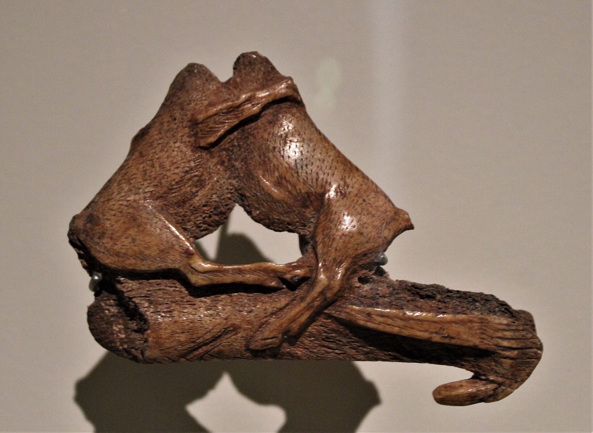 Le propulseur aux bouquetins de la grotte d’Enlène, sculpté dans du bois de renne
