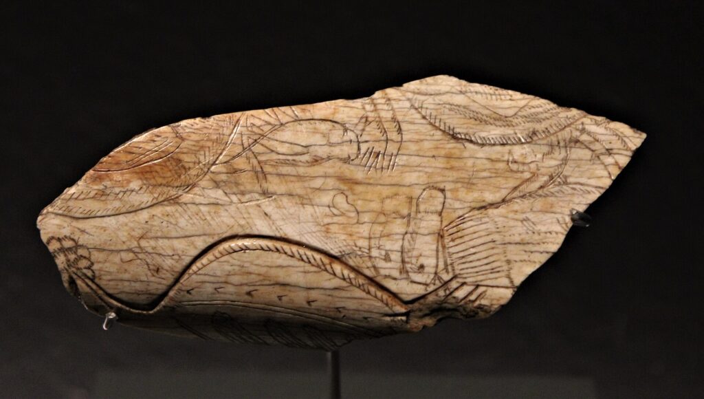 La sauterelle gravée sur un fragment d’os, musée de l’Homme