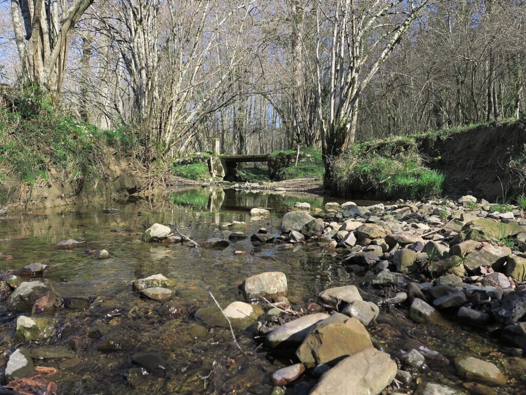 Le Volp à Montesquieu-Avantès