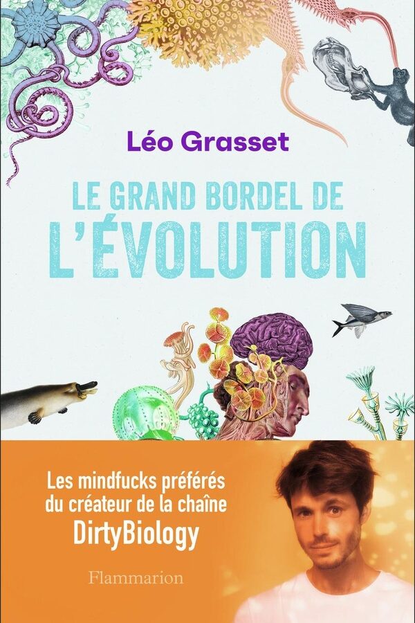Le grand bordel de l’évolution