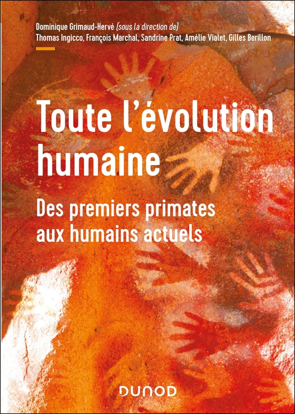 Couverture du livre « Toute l’évolution humaine. Des premiers primates aux humains actuels »