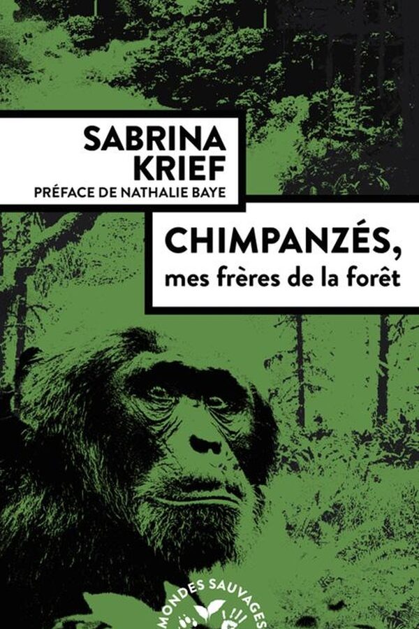 Chimpanzés, mes frères de la forêt