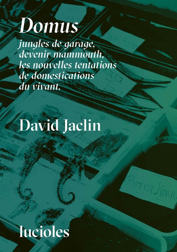Couverture du livre « Domus. Jungles de garage, devenir mammouth, les nouvelles tentations de domestications du vivant »