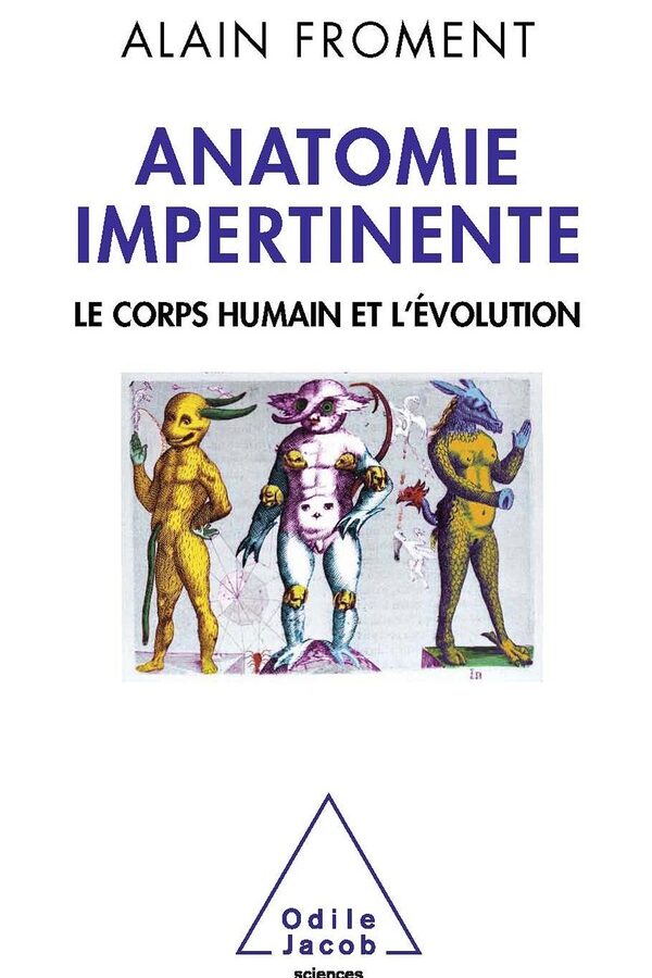 Anatomie impertinente