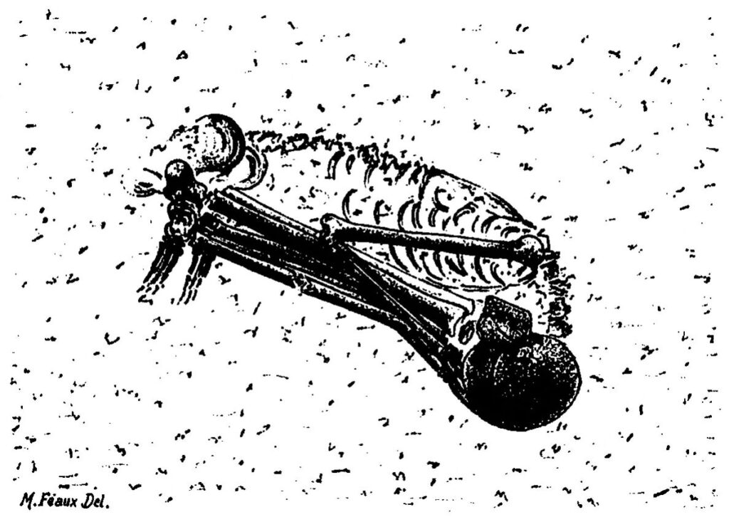 Le squelette de Chancelade tel qu’il fut découvert, dessin publié par Michel Hardy en 1891
