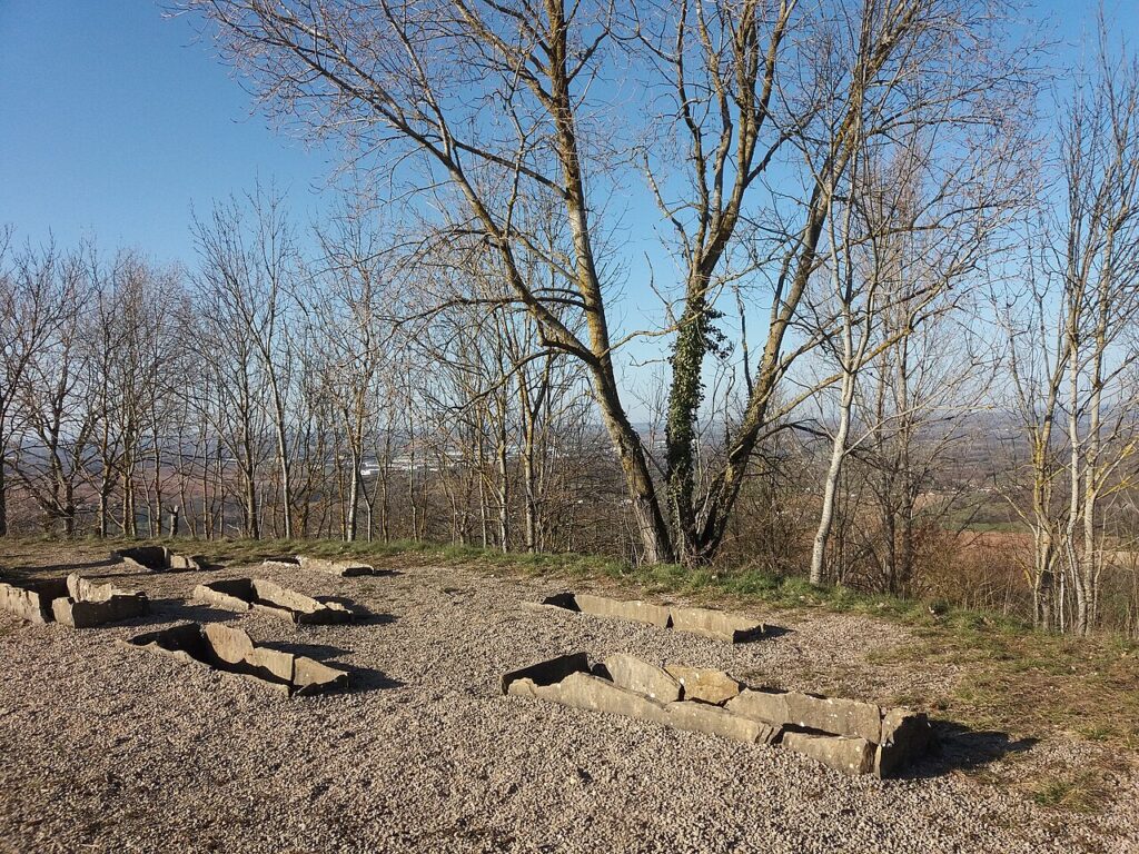 Nécropole de La Motte, tombes en coffres de lauzes, site de Larina