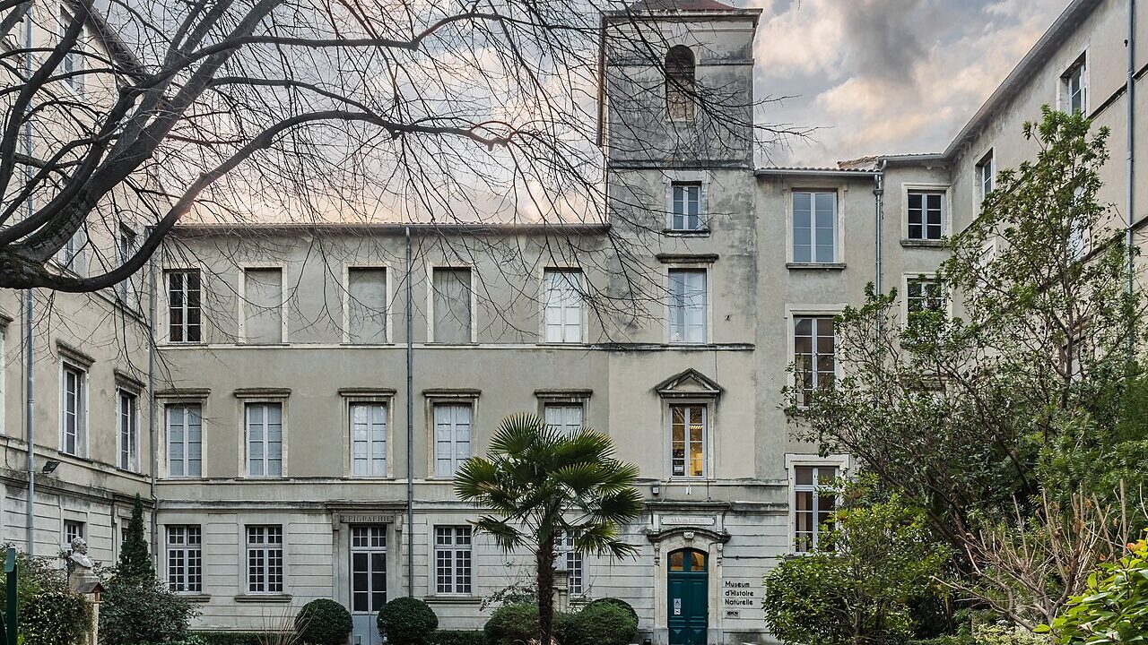Cour intérieure du muséum d’histoire naturelle de Nîmes