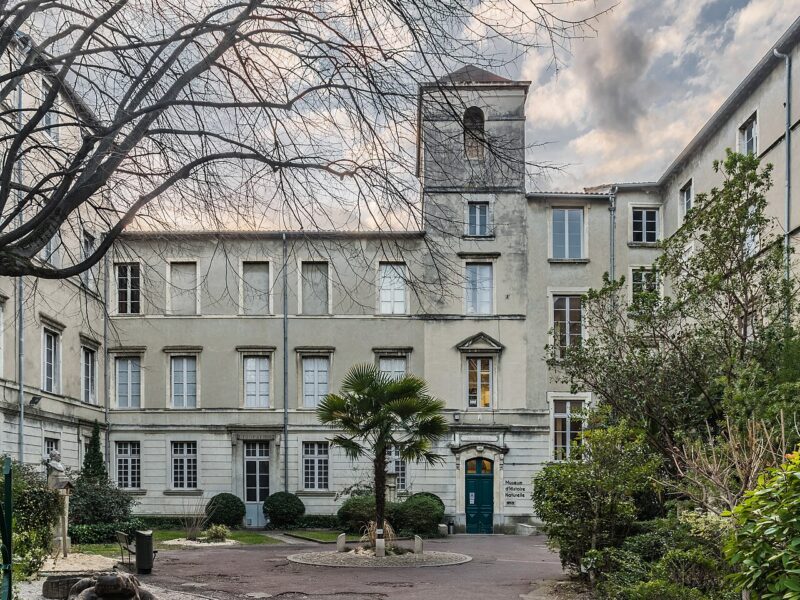 Cour intérieure du muséum d’histoire naturelle de Nîmes