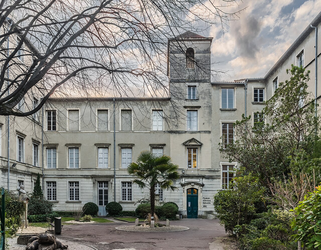 Cour intérieure du muséum d’histoire naturelle de Nîmes