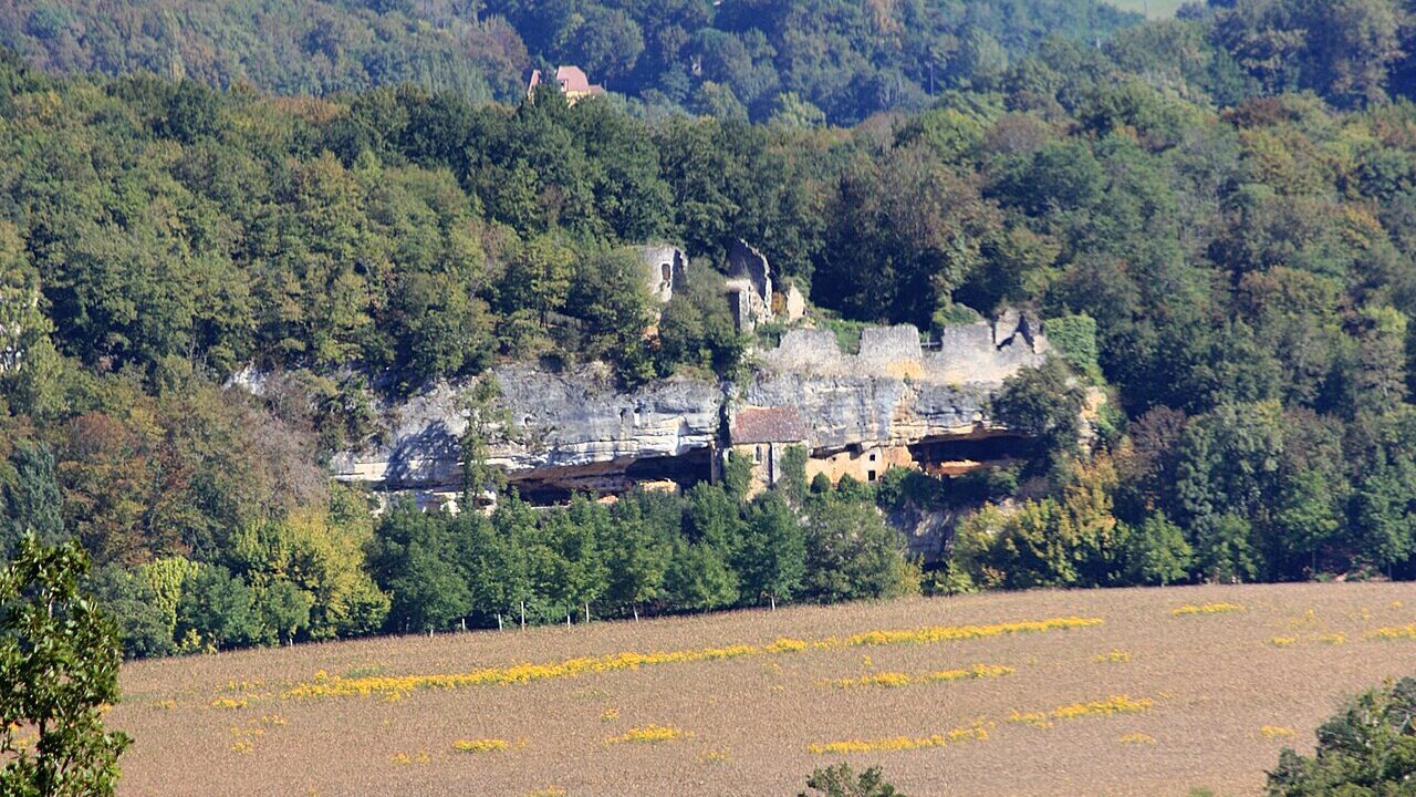 La Madeleine Site, Tursac