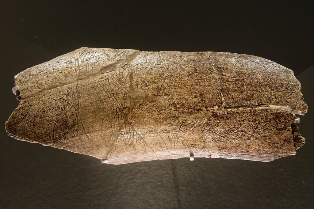 Mammouth gravé de la Madeleine (musée de l’Homme)