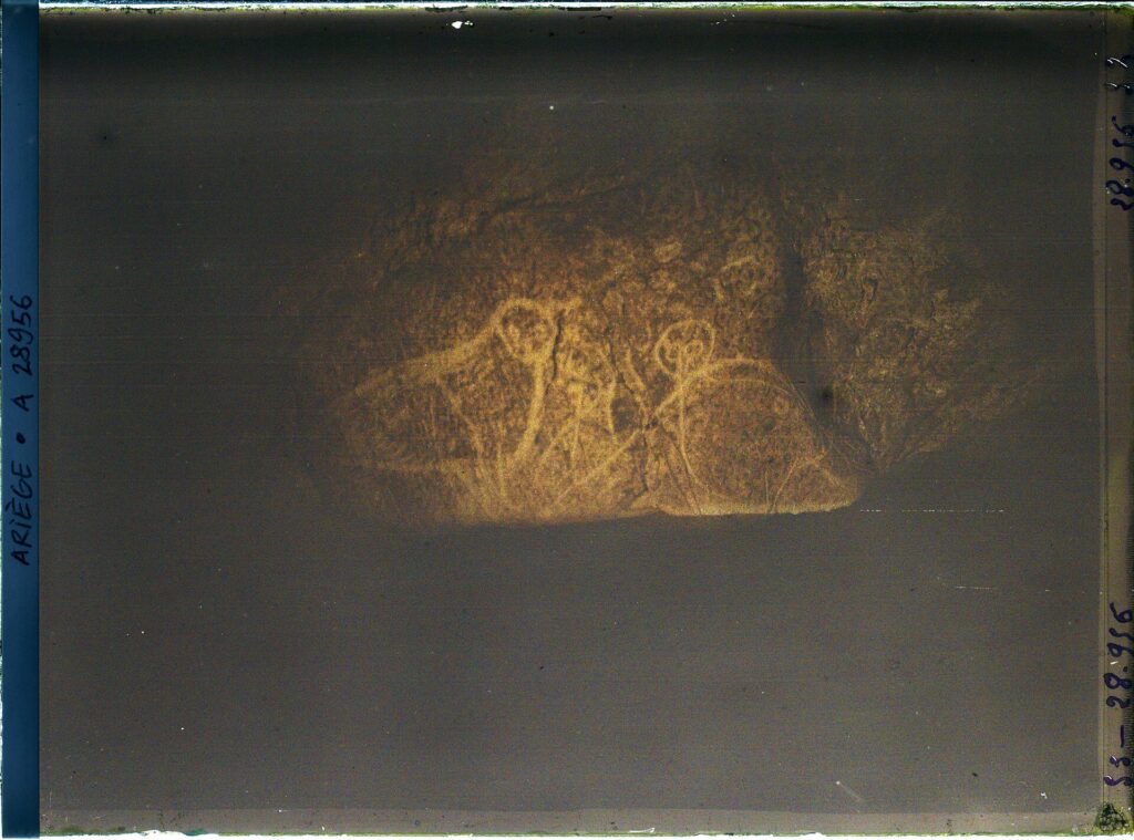 Les chouettes gravées, 1921