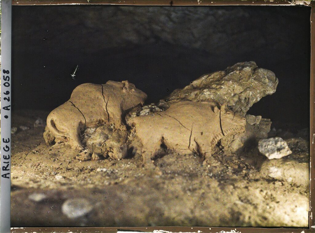 Les bisons d’argile, photographiés dans la grotte en 1921