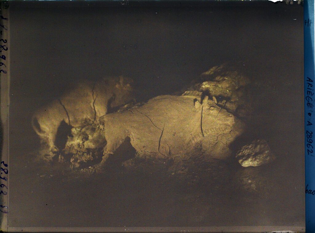 Les bisons d’argile dans le noir de la caverne, 1921