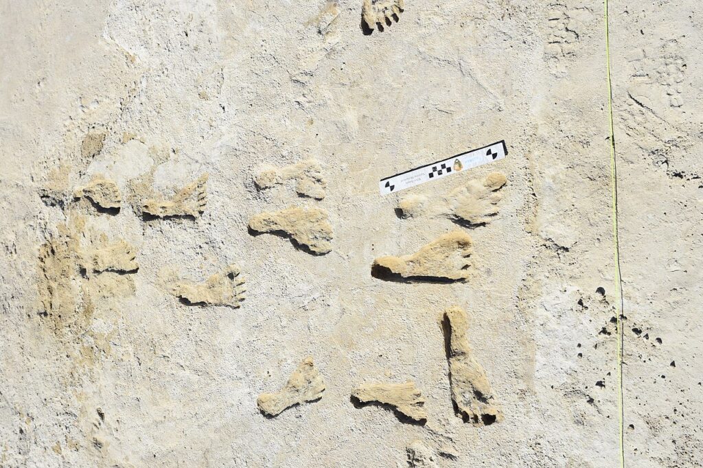 Empreintes fossiles d’enfants et d’adolescents à White Sands