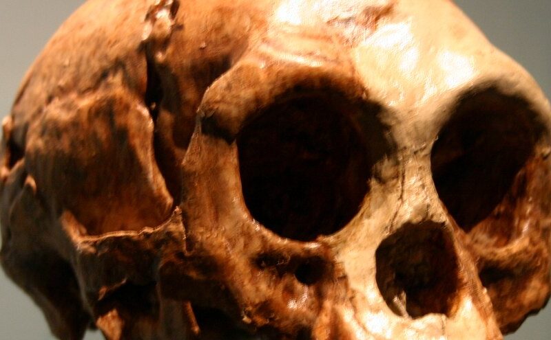 Pourquoi Homo floresiensis était-il si petit ?