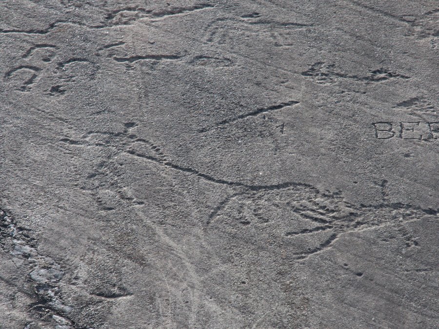 Gravures rupestres du Parc des Lozes, à Aussois