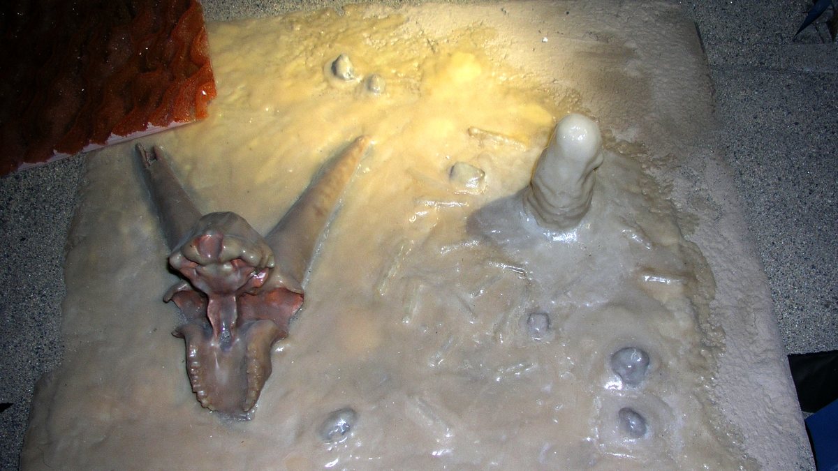 Caverne du Pont-d'Arc (fac-similé de Chauvet)
